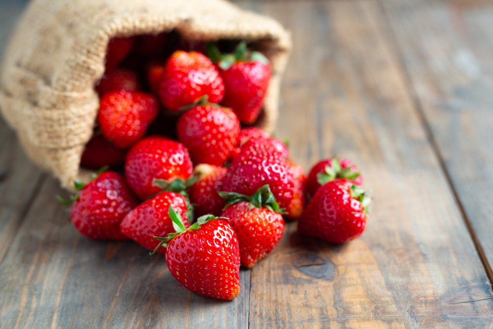 Comment et quand semer des fraises ?