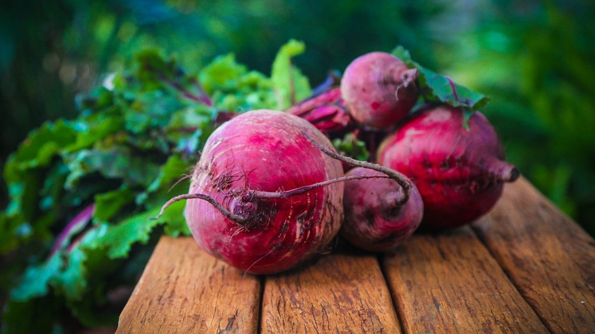 Quand récolter la betterave rouge ?